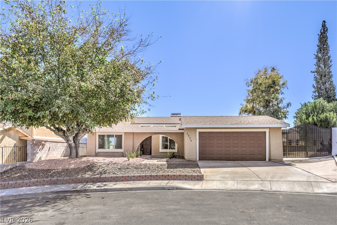 3939 Cedaredge Court Property Photo 1