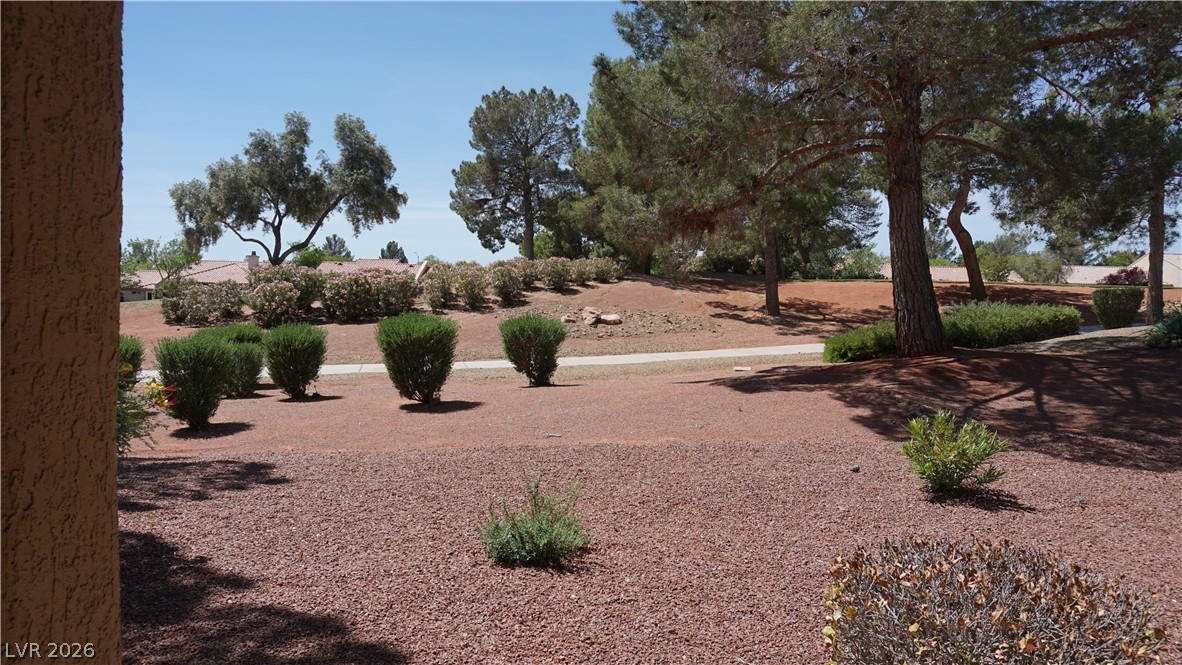 9341 Villa Ridge Drive Property Photo 33