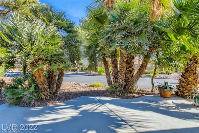 7272 Vista Bonita Drive Property Photo 27
