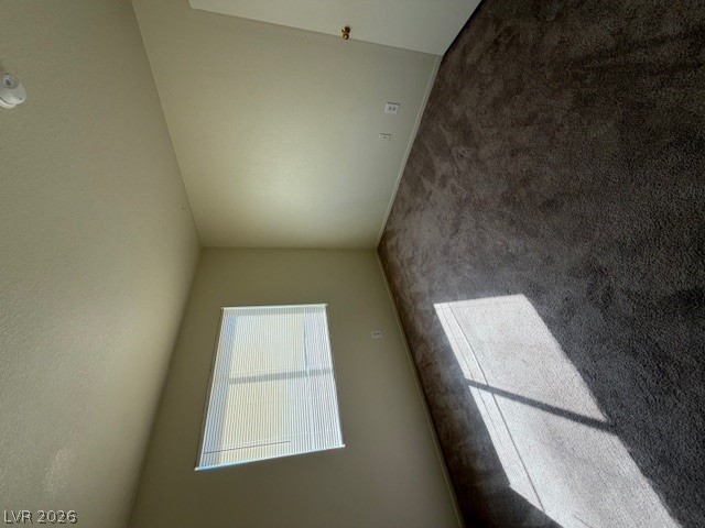 2506 Lady Elizabeth Court Property Photo 19