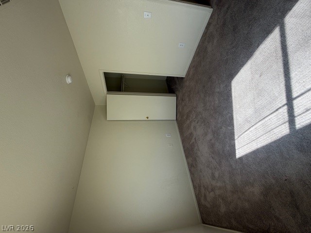 2506 Lady Elizabeth Court Property Photo 20
