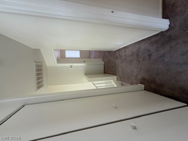 2506 Lady Elizabeth Court Property Photo 22