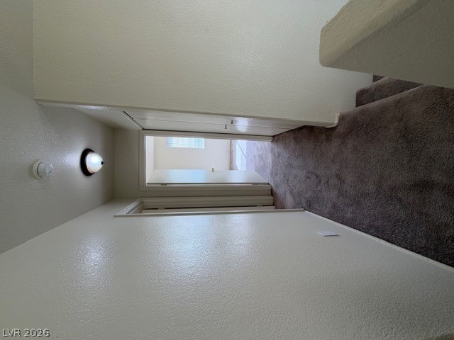 2506 Lady Elizabeth Court Property Photo 23