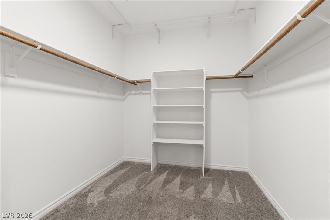 7103 Calvert Cliffs Street Property Photo 20