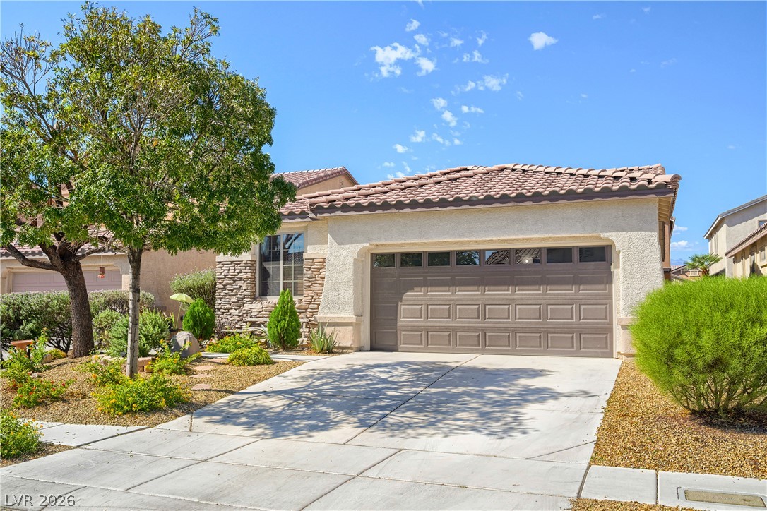 8227 Oasis Bloom Street Property Photo 3