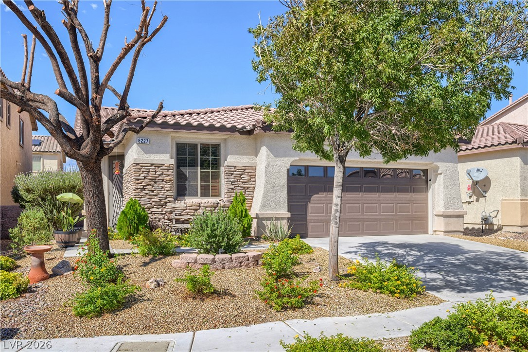 8227 Oasis Bloom Street Property Photo 4