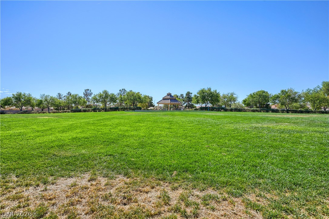 8227 Oasis Bloom Street Property Photo 34