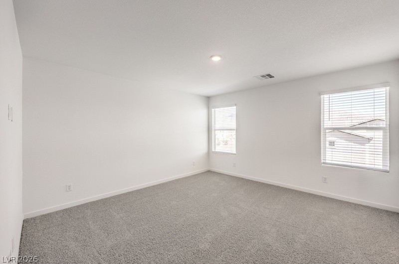 901 Alethea River Avenue Property Photo 20