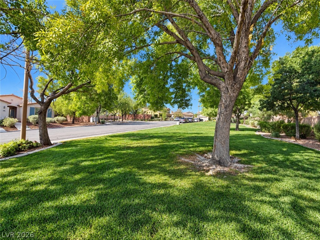 1504 Remembrance Hill Street Property Photo 46