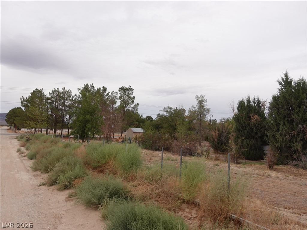 1780 Cicchi Street Property Photo 28