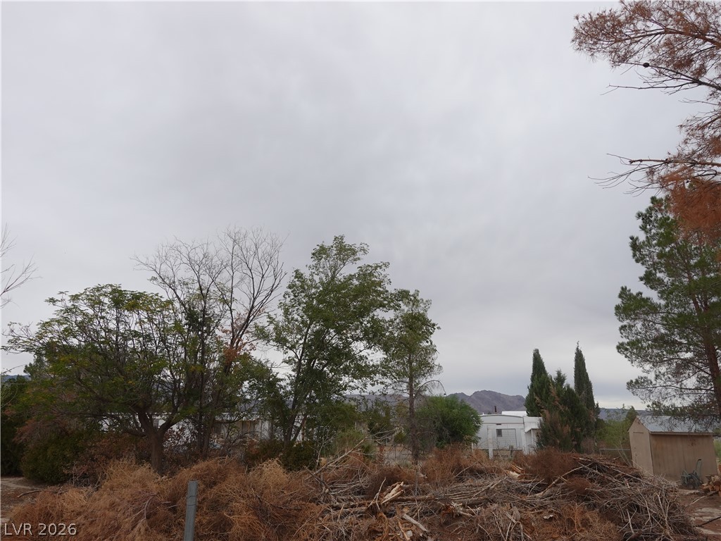 1780 Cicchi Street Property Photo 29
