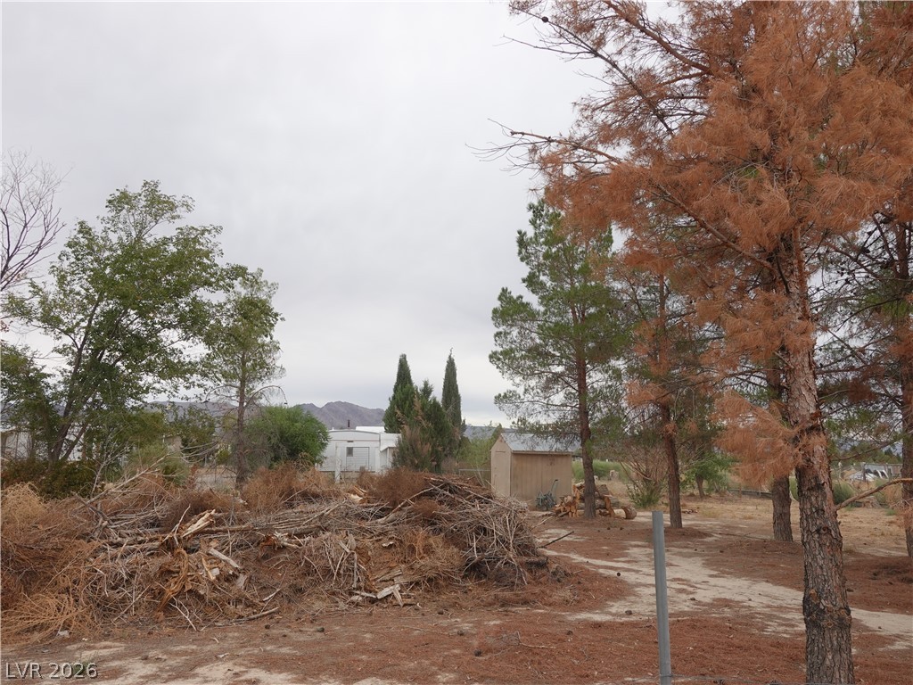 1780 Cicchi Street Property Photo 30