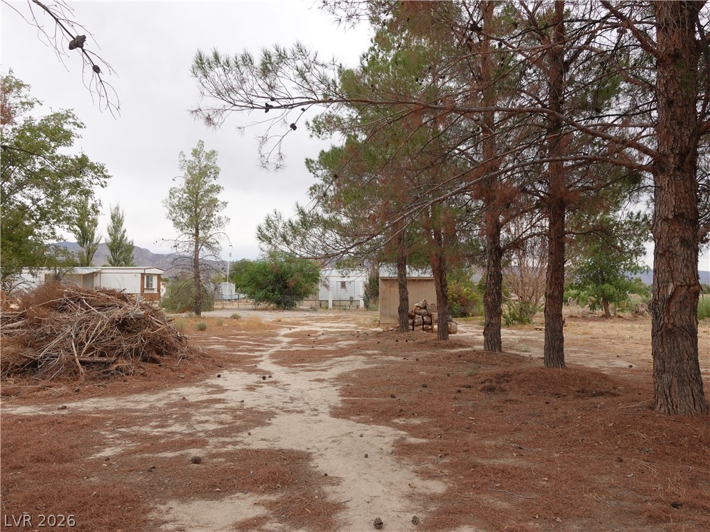 1780 Cicchi Street Property Photo 36
