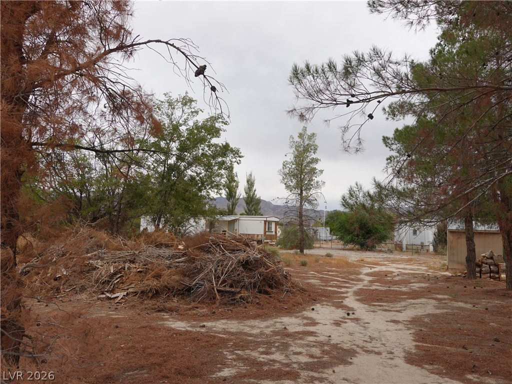 1780 Cicchi Street Property Photo 37