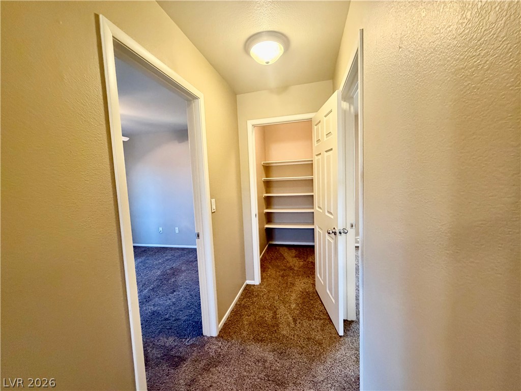 6109 Blue Luna Street Property Photo 24