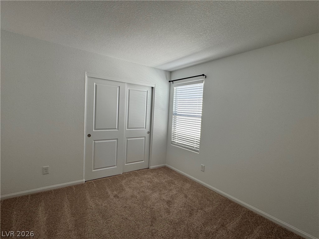 4627 Chestnut Bark Court Property Photo 24