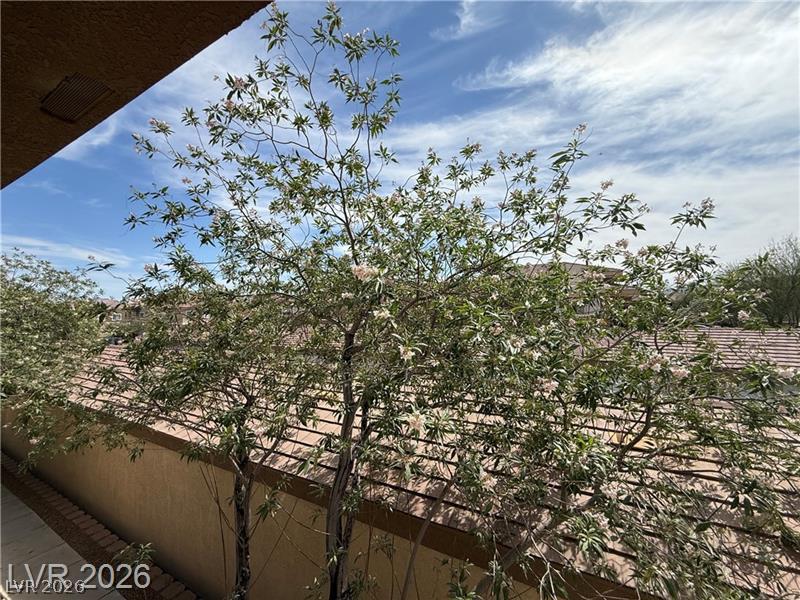 833 Aspen Peak Loop 922 Property Photo 23