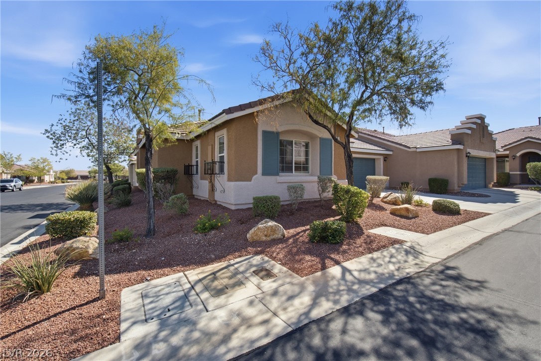 5397 Blue Oat Avenue Property Photo 60