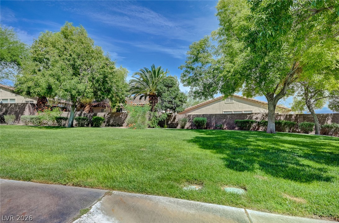 1524 Remembrance Hill Street Property Photo 45