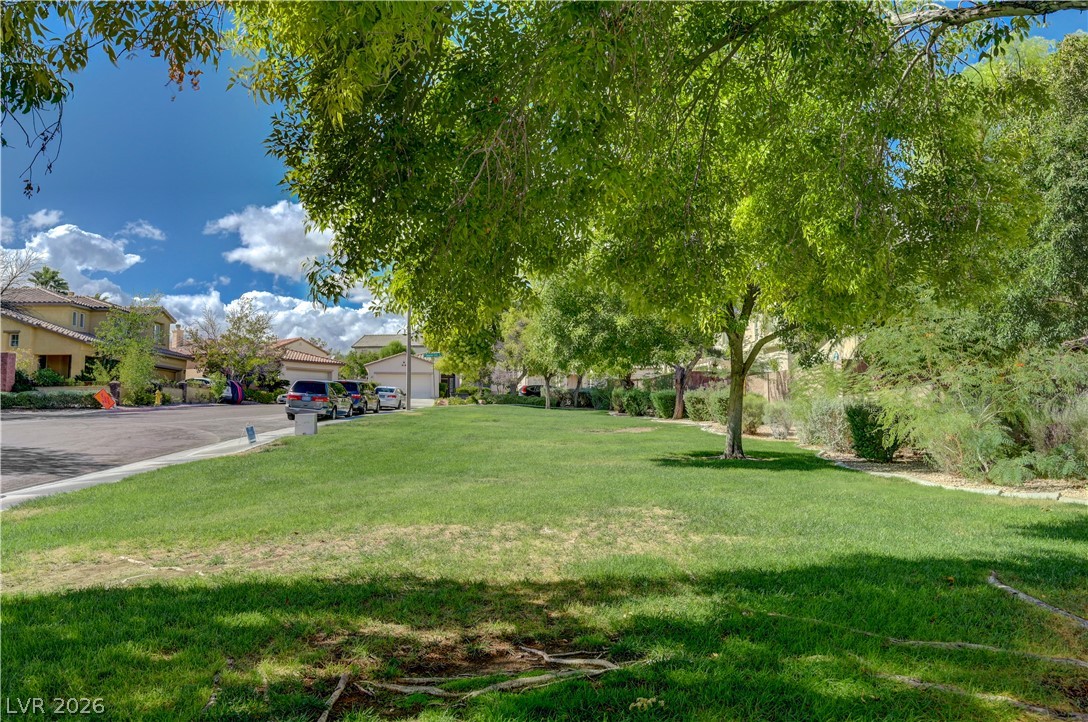 1524 Remembrance Hill Street Property Photo 49