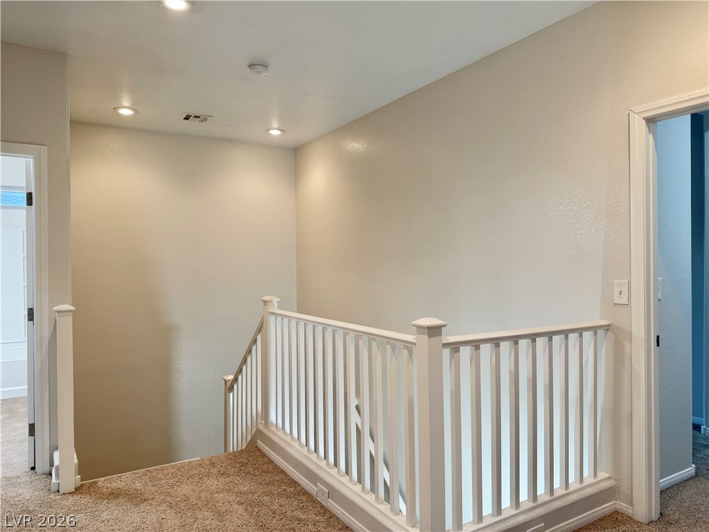 9723 Aleutian Street Property Photo 46