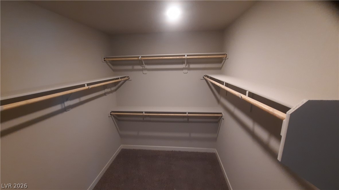 7492 Red Plumeria Avenue Property Photo 21