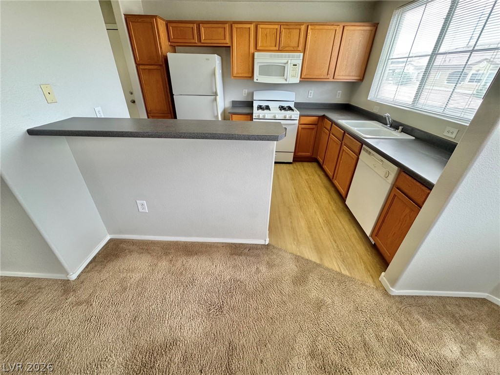 833 Aspen Peak Loop 2126 Property Photo 4