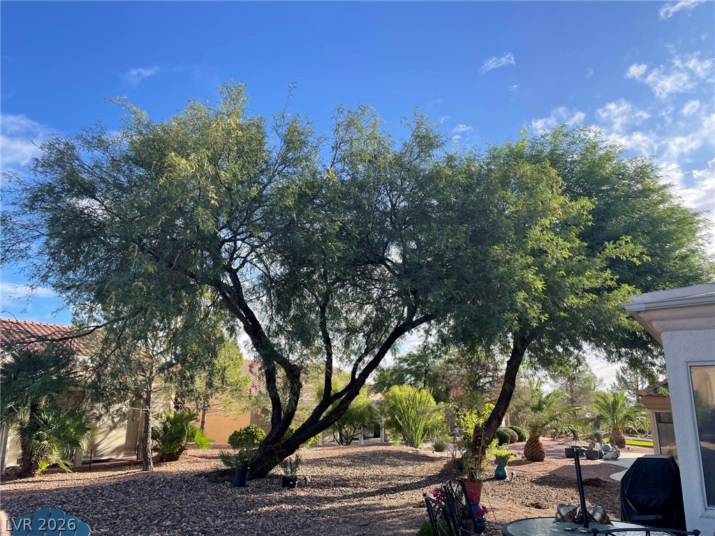 9304 Yucca Blossom Drive Property Photo 31