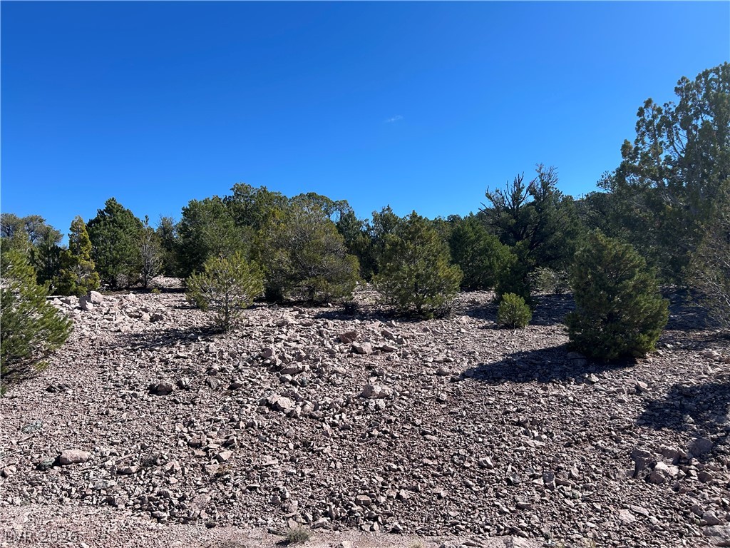 4321 Arrowhead Property Photo 1