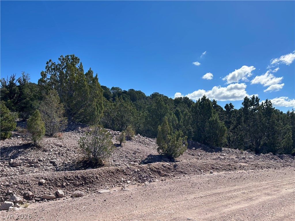 4321 Arrowhead Property Photo 3