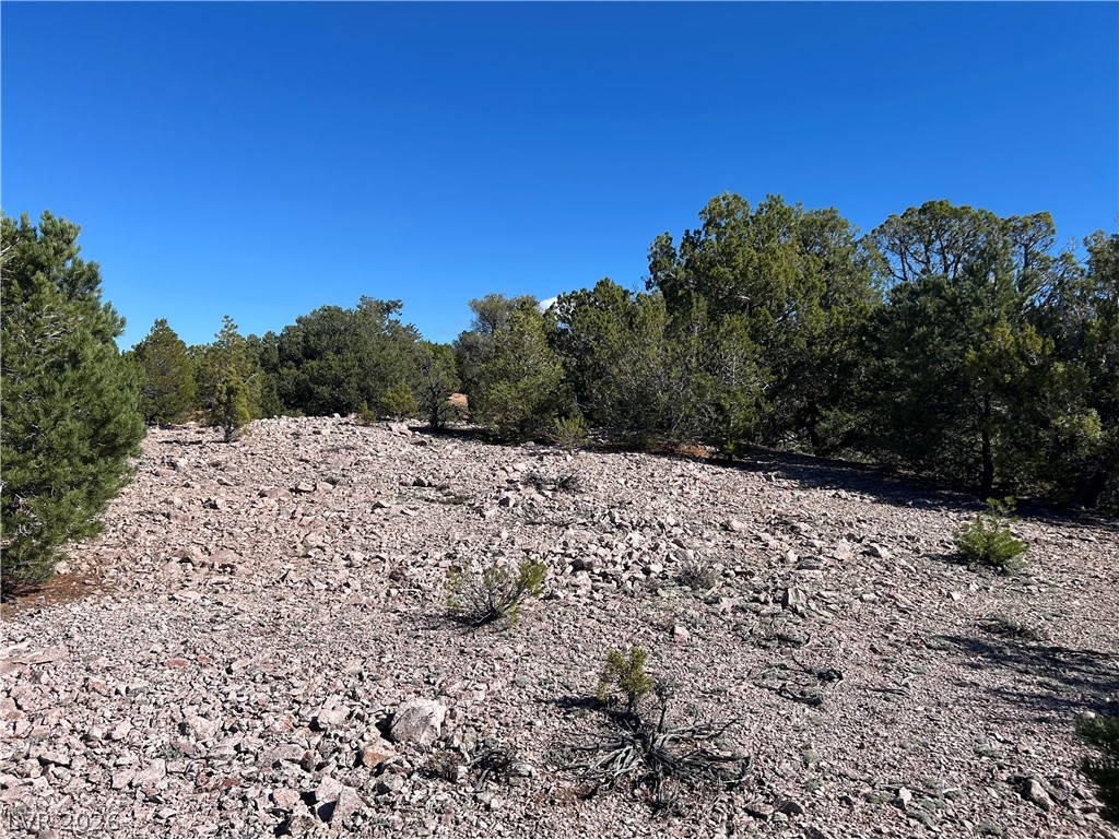 4321 Arrowhead Property Photo 11