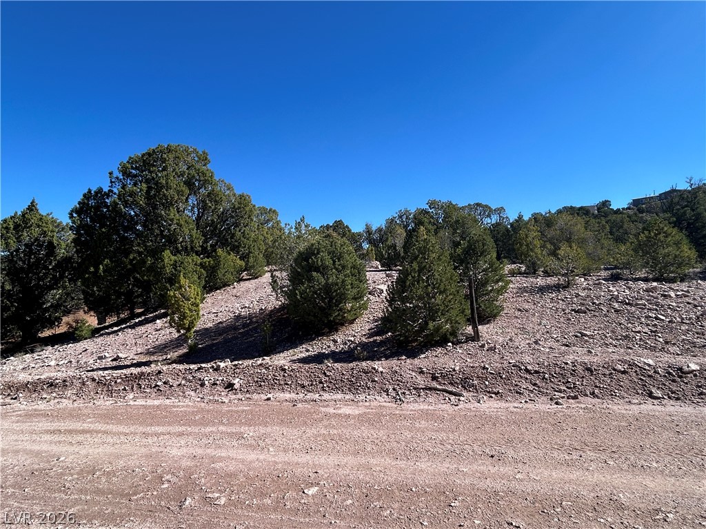 4321 Arrowhead Property Photo 14