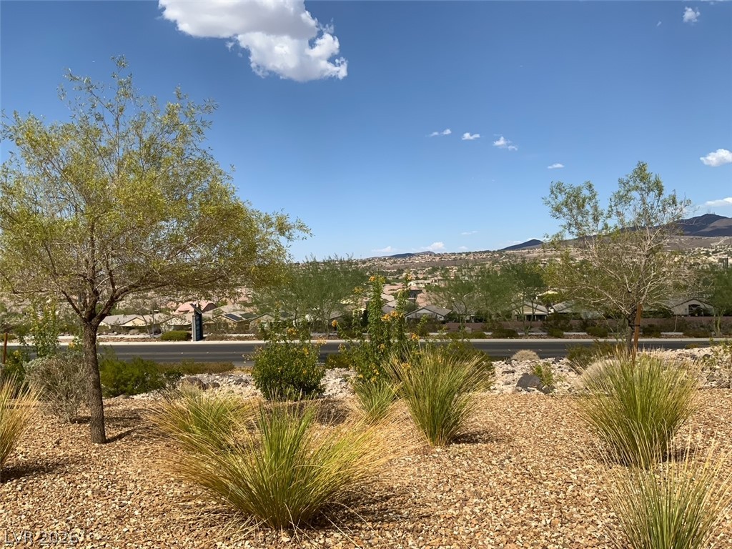 2674 Frabiele Street Property Photo 2