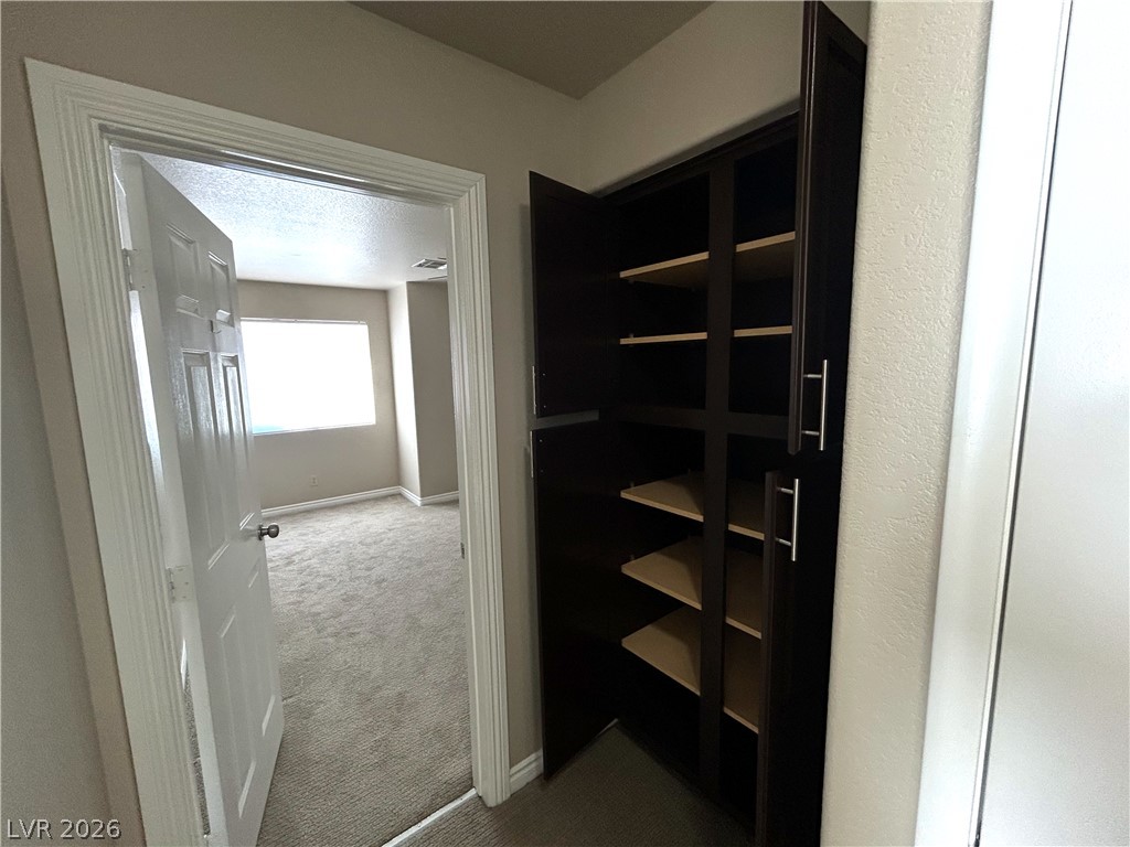 2208 Marble Gorge Drive Property Photo 48