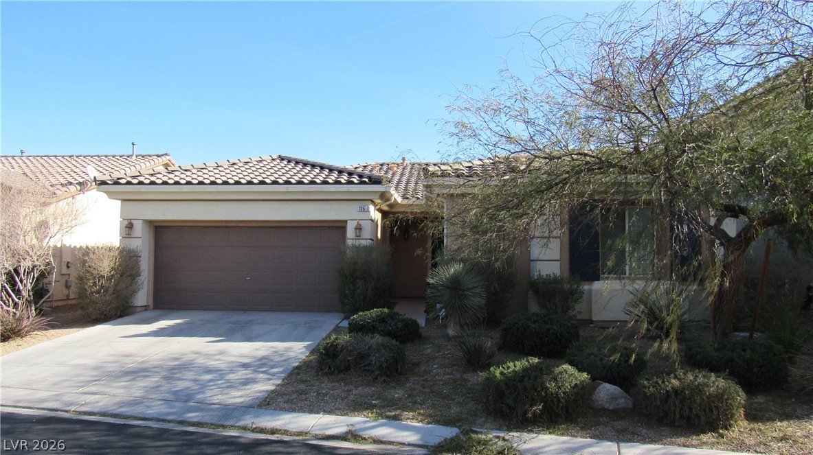 10610 Soaring Palm Street Property Photo 1