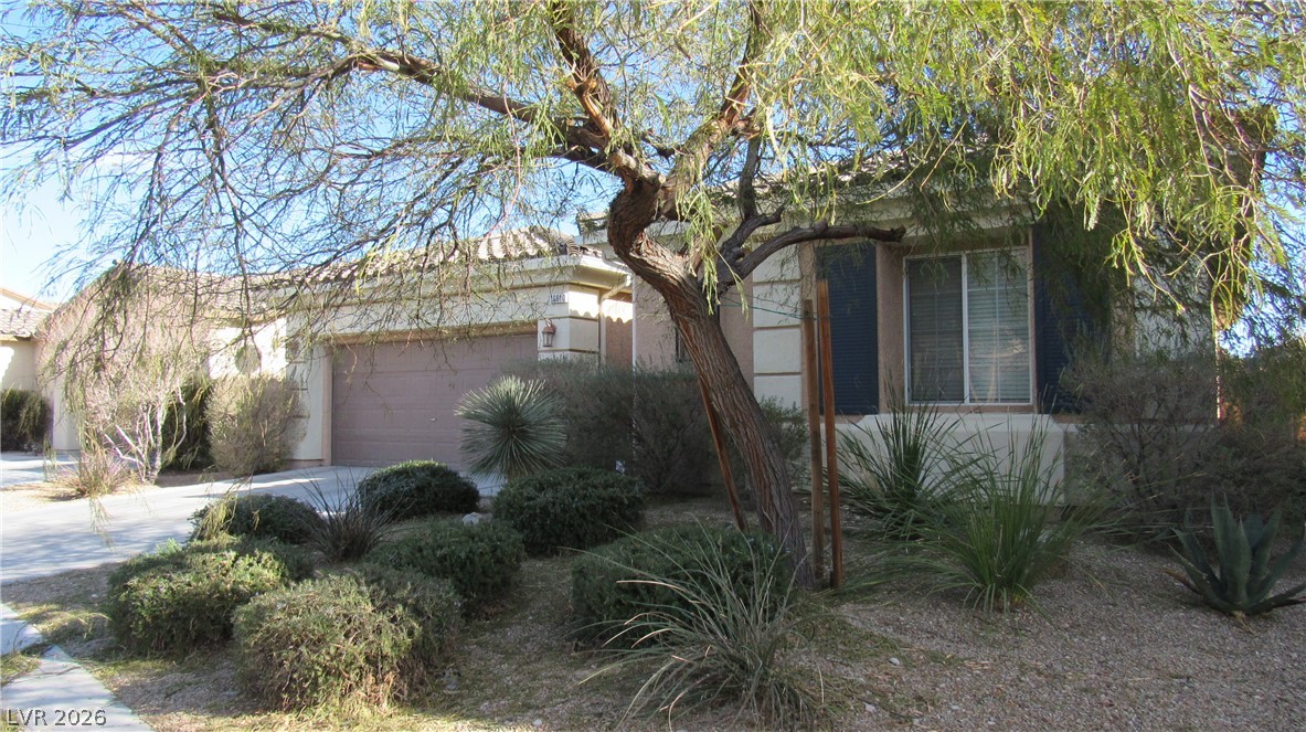 10610 Soaring Palm Street Property Photo 2