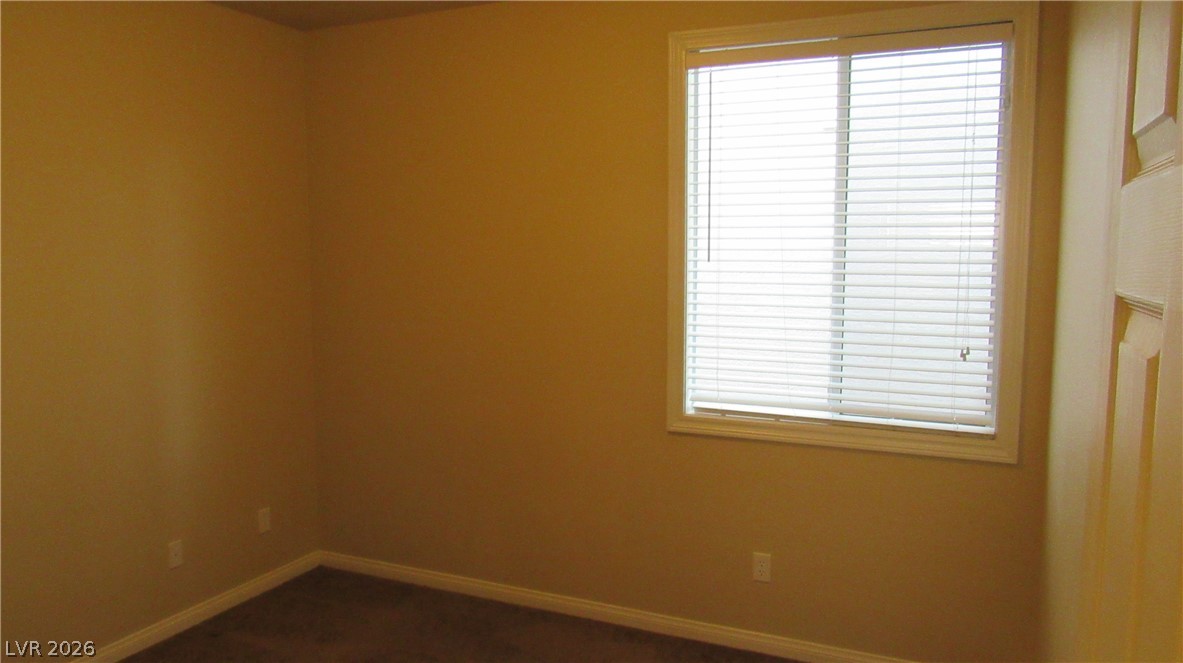10610 Soaring Palm Street Property Photo 22