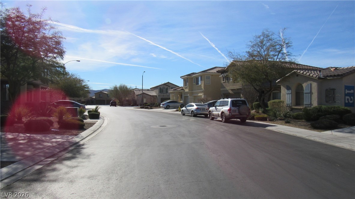 10610 Soaring Palm Street Property Photo 28