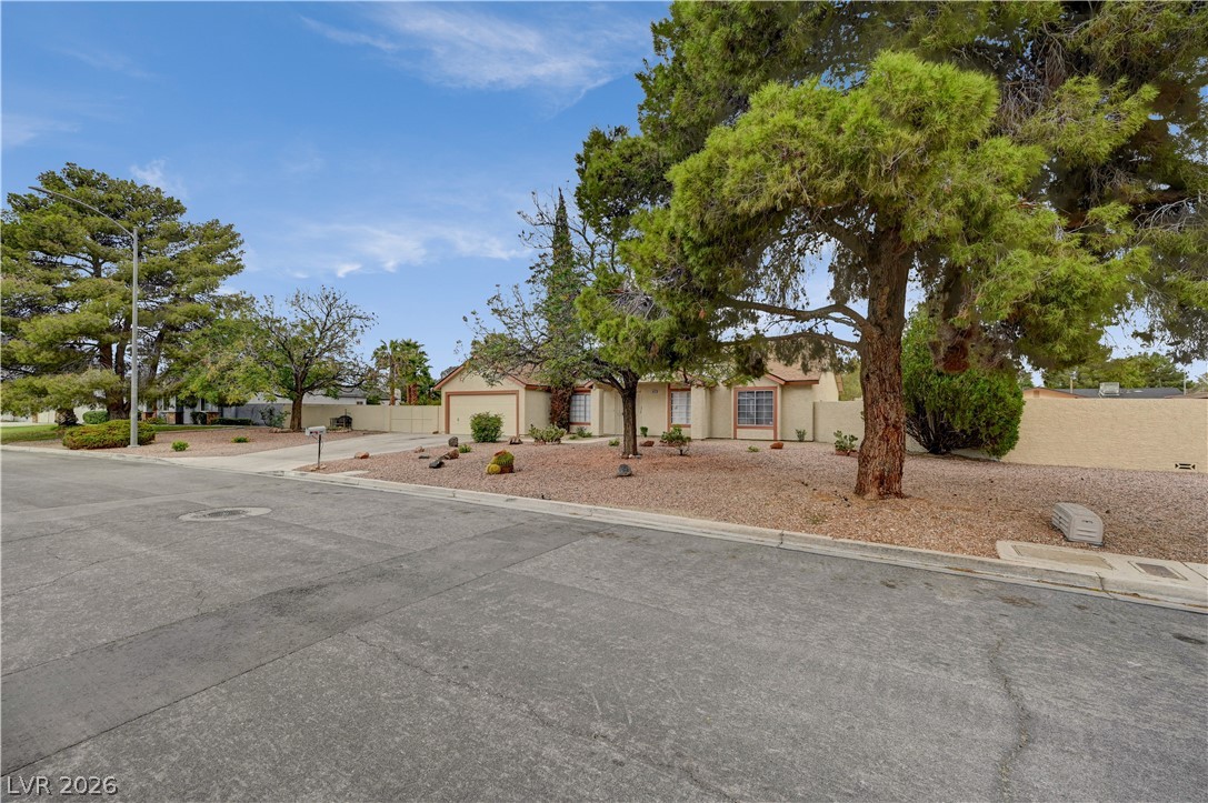4618 Black Stallion Avenue Property Photo 4