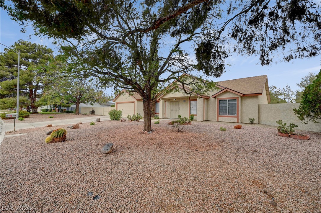 4618 Black Stallion Avenue Property Photo 5