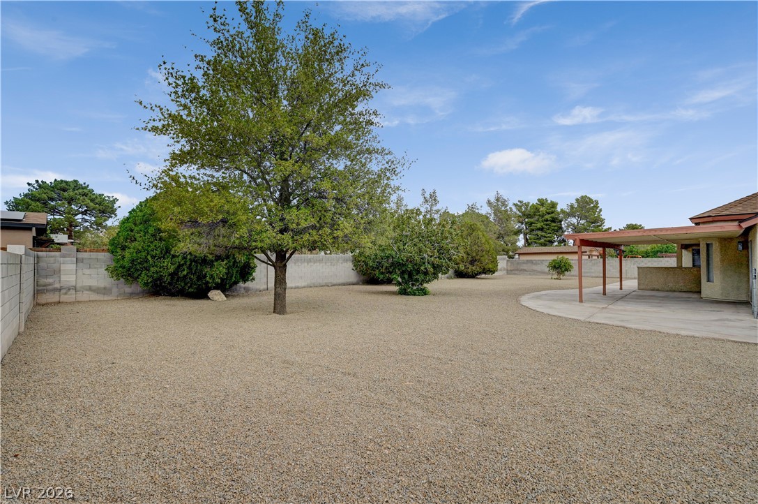 4618 Black Stallion Avenue Property Photo 66