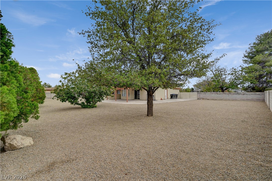 4618 Black Stallion Avenue Property Photo 67