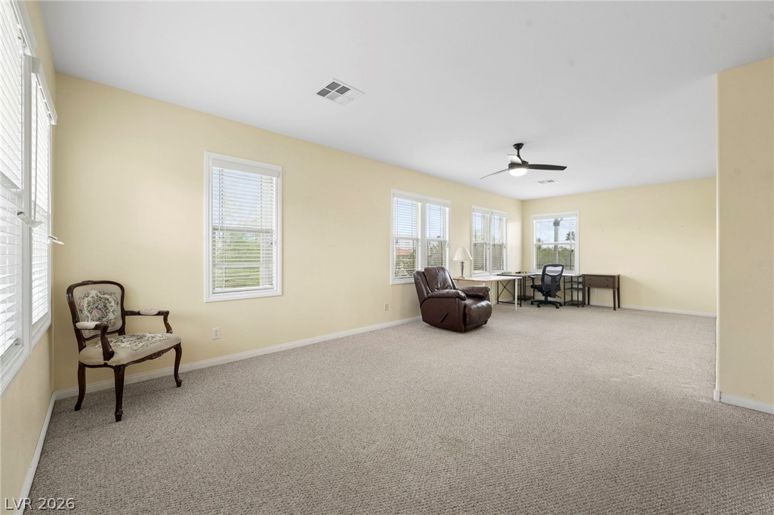 9203 White Waterfall Avenue Property Photo 31