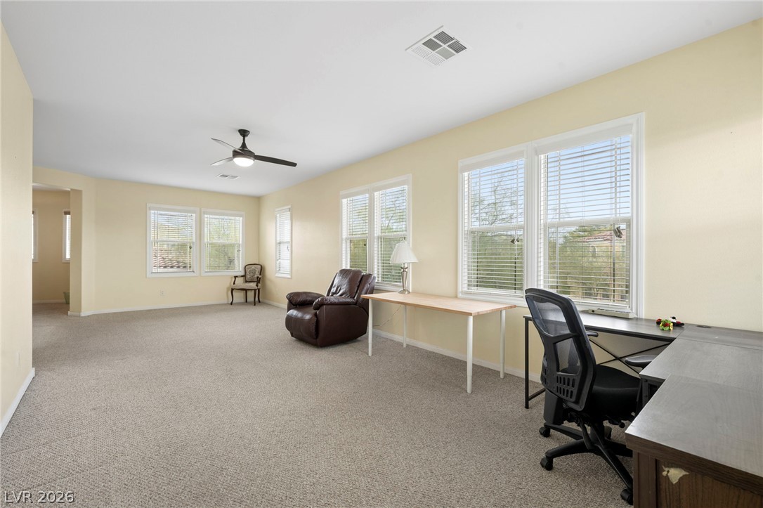 9203 White Waterfall Avenue Property Photo 34