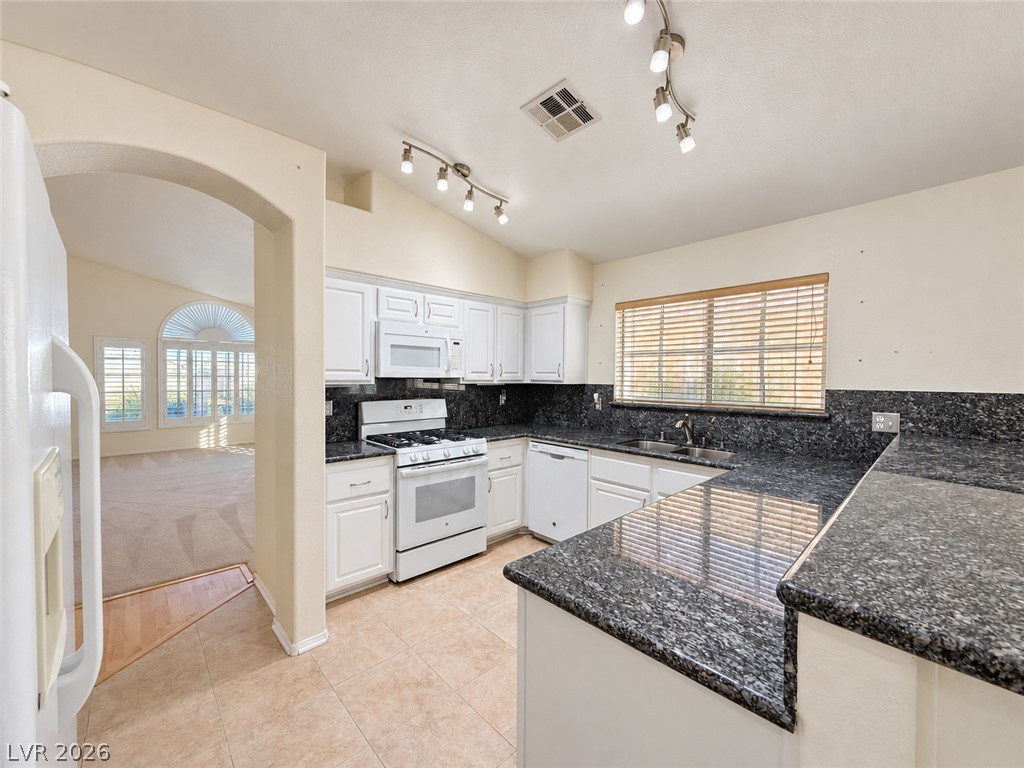 1313 Feather Glen Court Property Photo 16