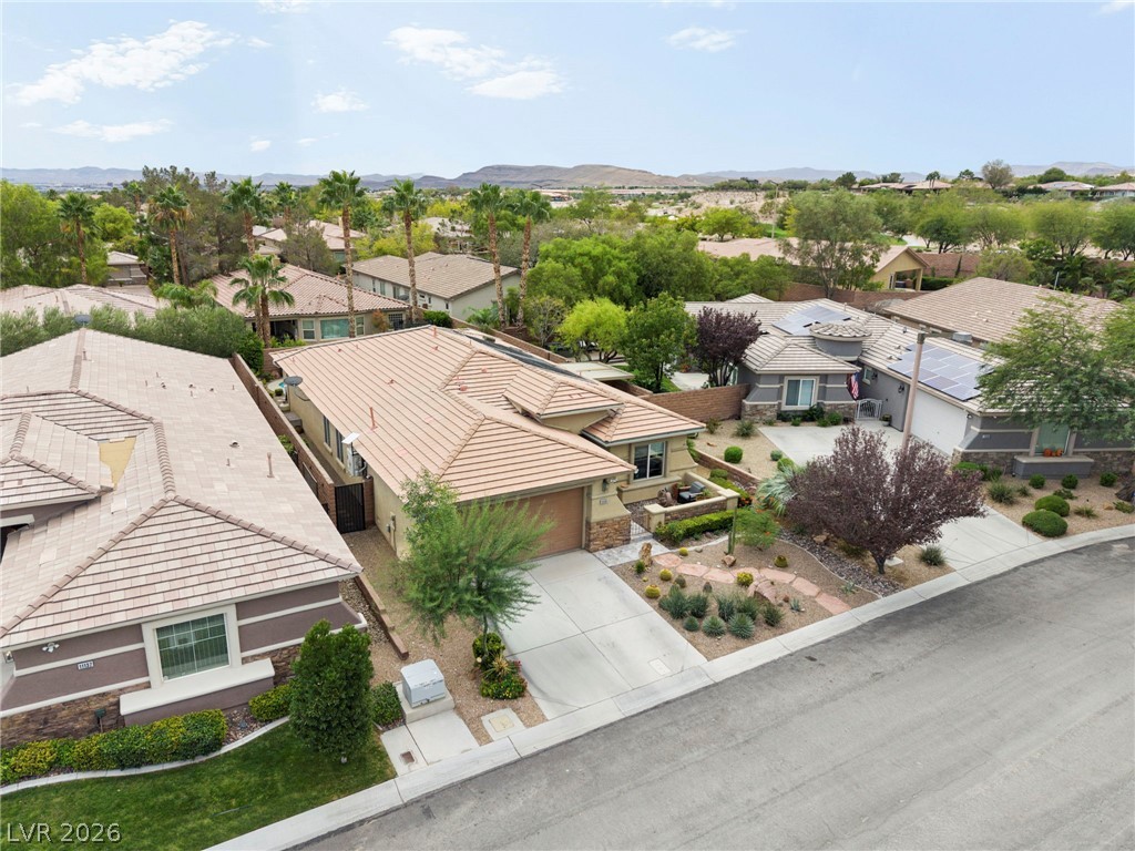 11151 Golden Aster Avenue Property Photo 54