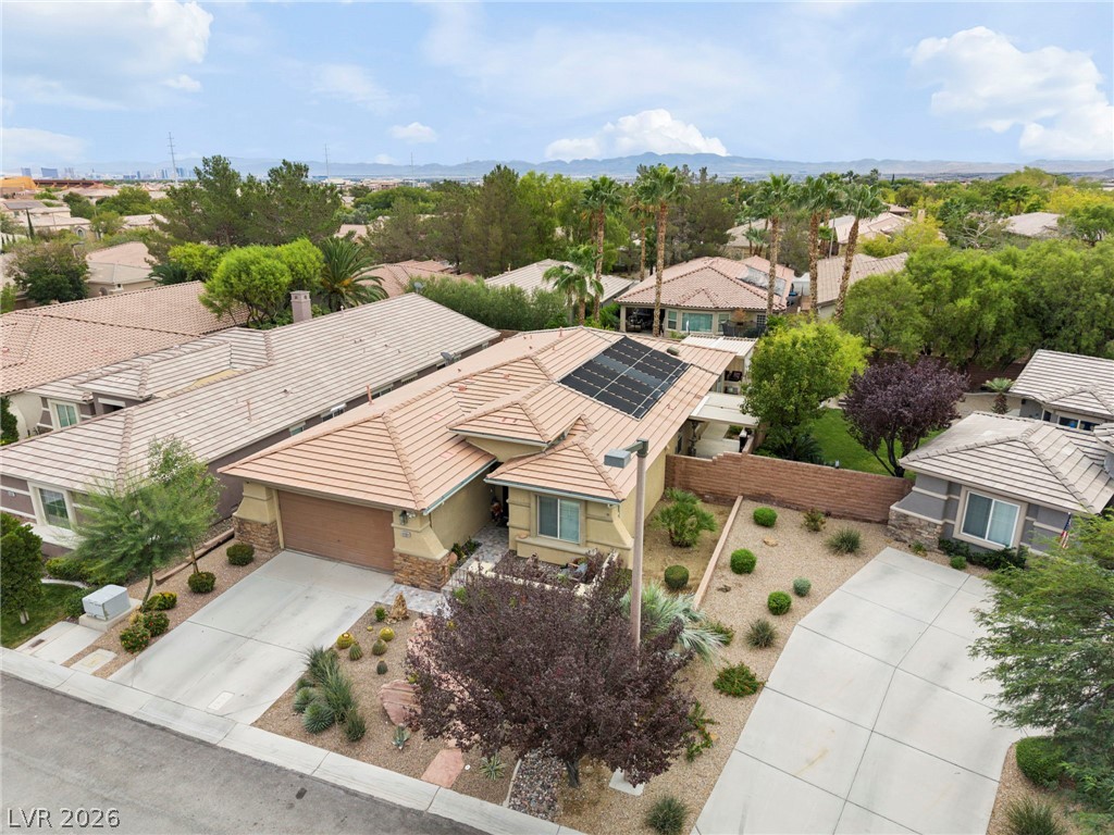 11151 Golden Aster Avenue Property Photo 56