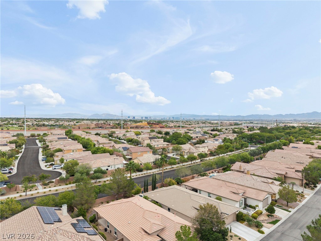 11151 Golden Aster Avenue Property Photo 65
