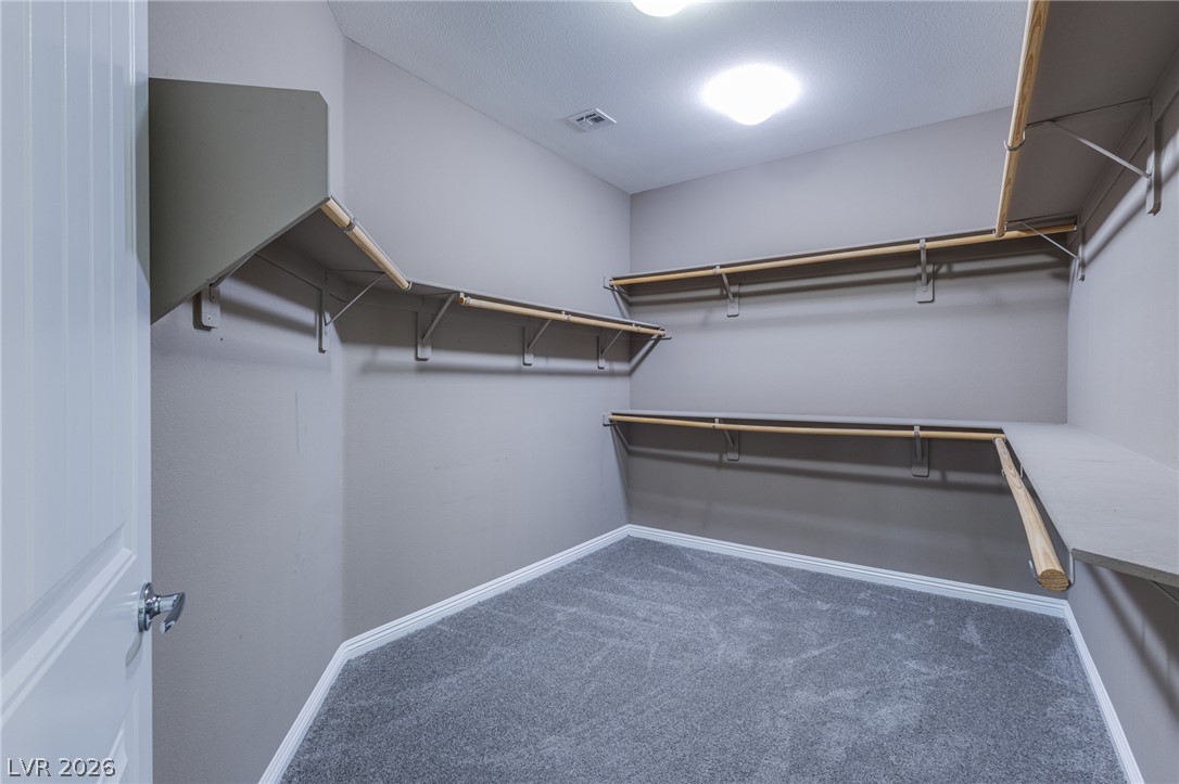8121 Crushed Velvet Place Property Photo 32