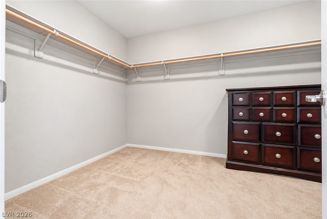 5624 Salt Rock Street Property Photo 16